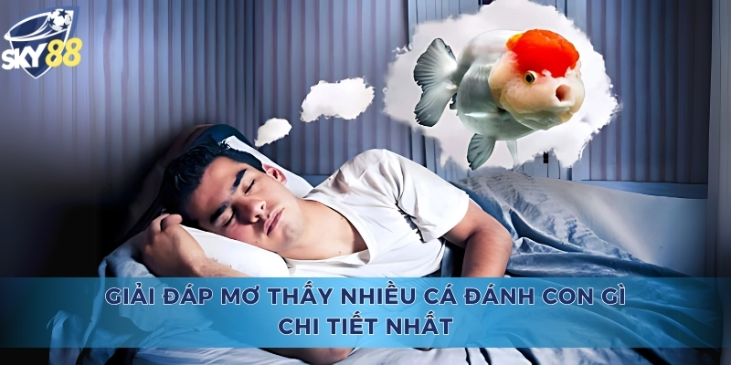 Mơ thấy nhiều cá đánh con gì